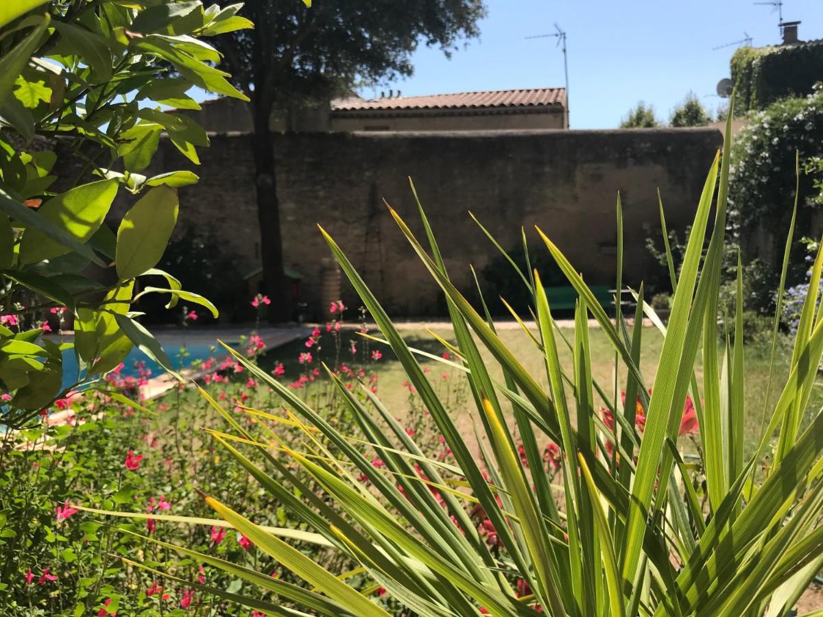 L'Androune Fabrezan Esterno foto