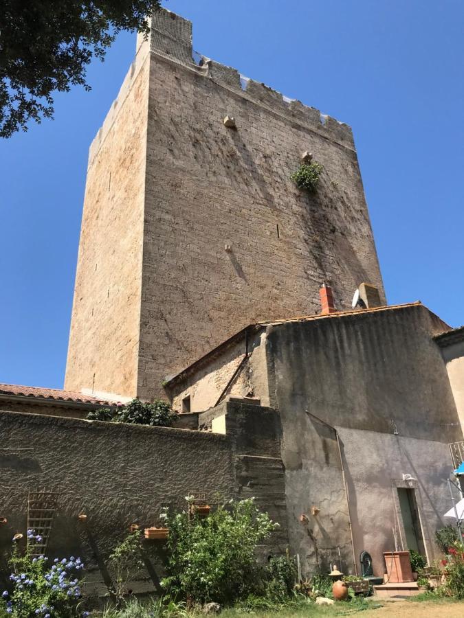 L'Androune Fabrezan Esterno foto